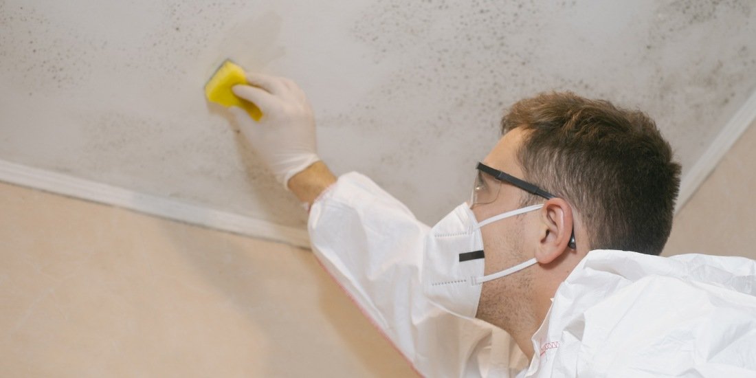 Mould Removal Services