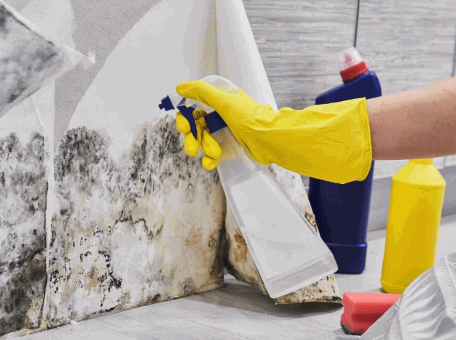 Tips For Reducing Mould