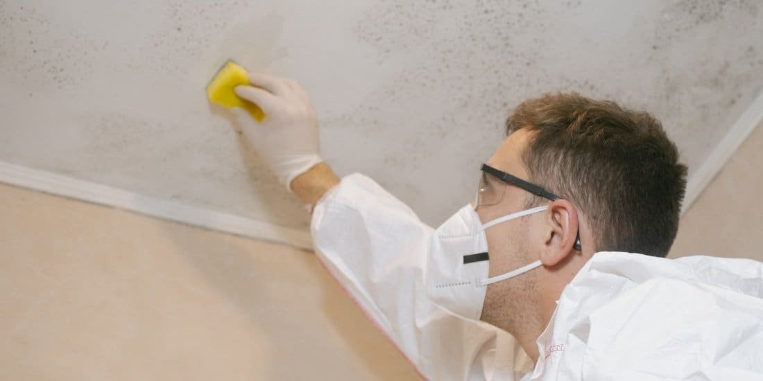 Mould Removal in Banchory